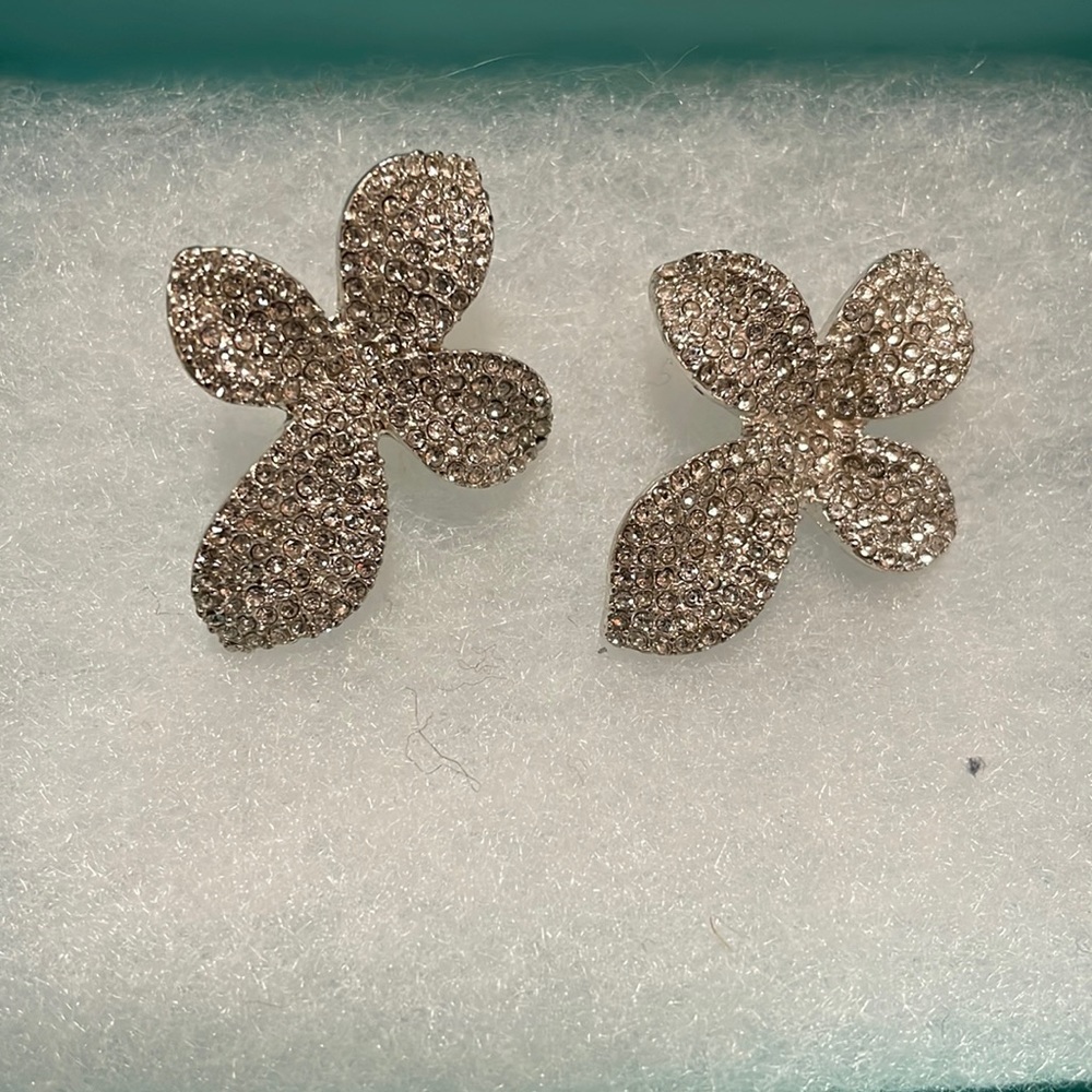 Earrings from Express